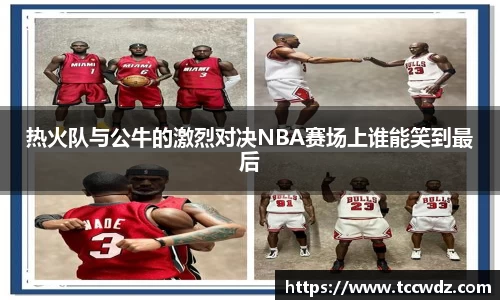 热火队与公牛的激烈对决NBA赛场上谁能笑到最后