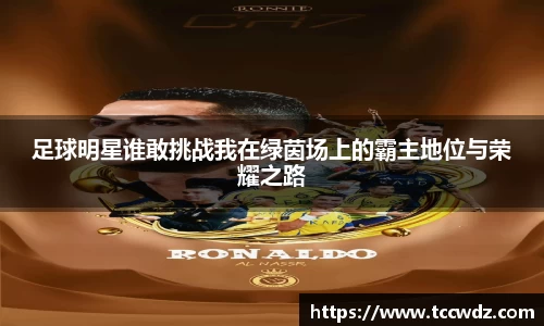 足球明星谁敢挑战我在绿茵场上的霸主地位与荣耀之路